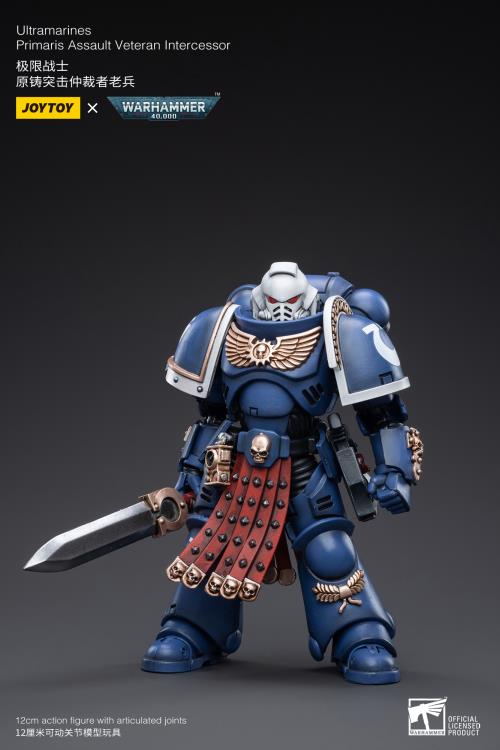 Warhammer 40K - Ultramarines - Veteran Intercessor