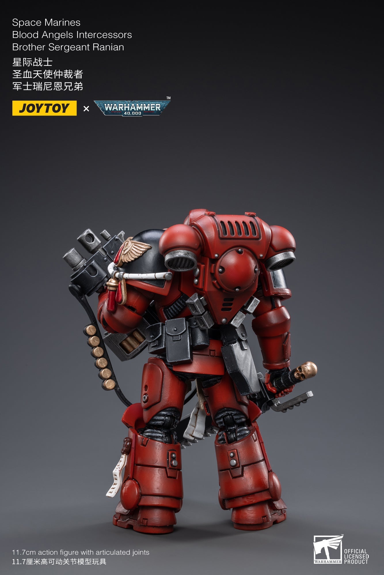 Warhammer 40K - Blood Angels - Intercessors Sergeant Ranian