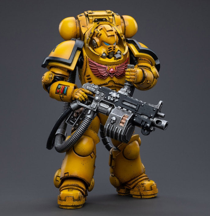 Warhammer 40K - Imperial Fists - Heavy Intercessor Polad Lycalrad