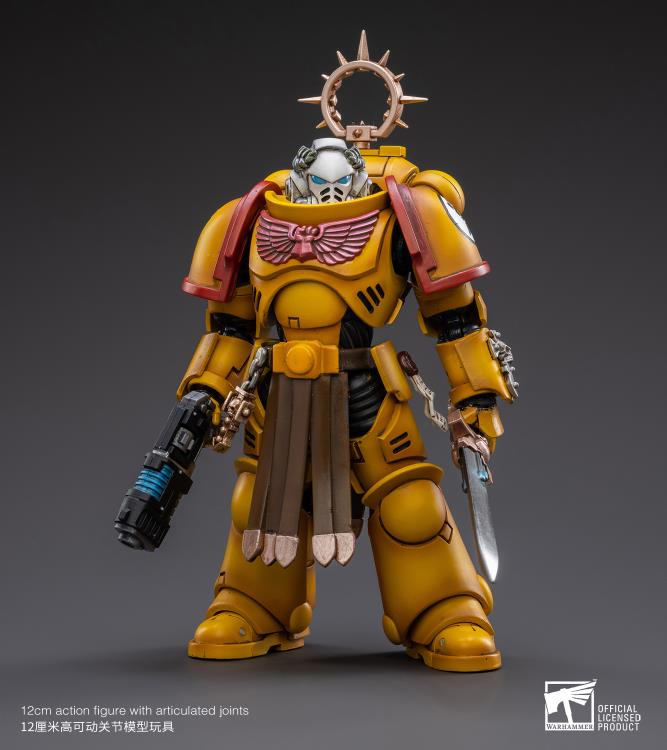 Warhammer 40K - Imperial Fists - Veteran Brother Thracius