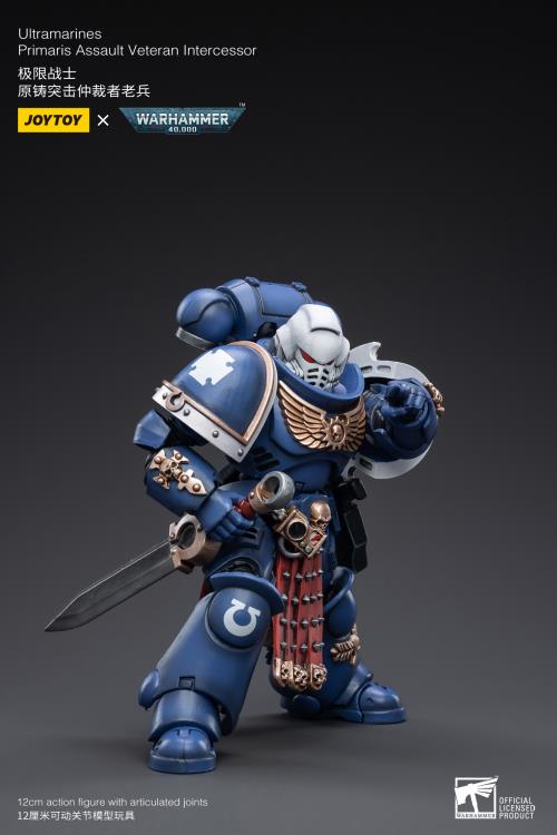 Warhammer 40K - Ultramarines - Veteran Intercessor