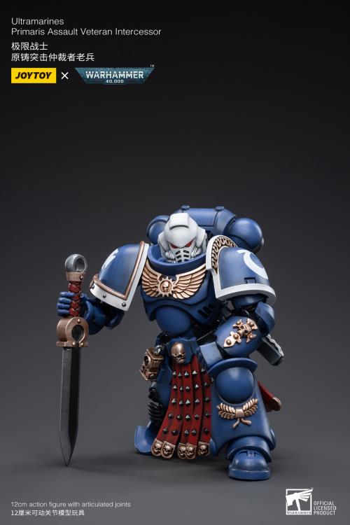 Warhammer 40K - Ultramarines - Veteran Intercessor