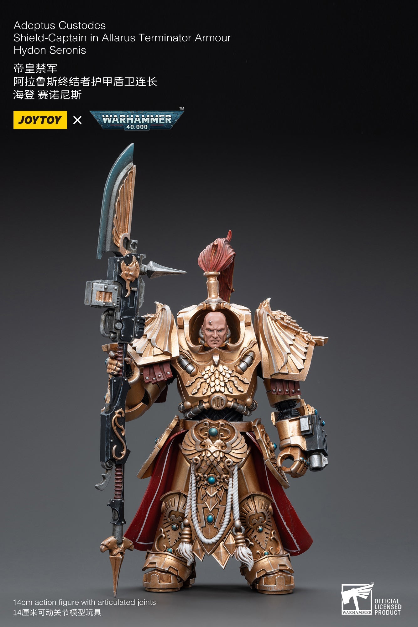Warhammer 40K - Adeptus Custodes - Shield-Captain in Allarus Terminator Armour Hydon Seronis