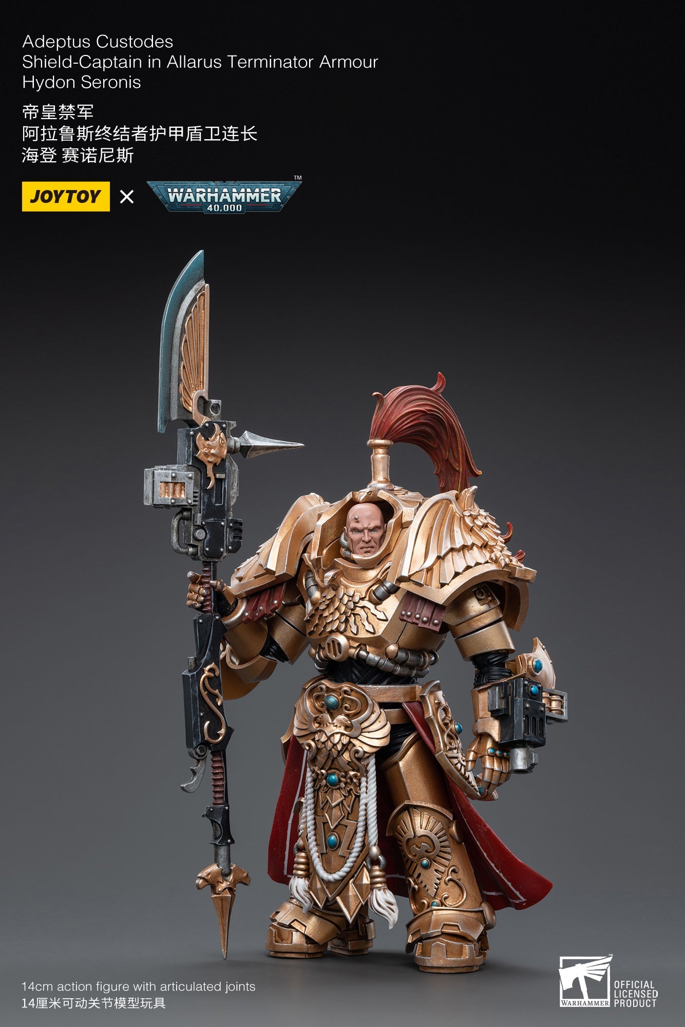 Warhammer 40K - Adeptus Custodes - Shield-Captain in Allarus Terminator Armour Hydon Seronis