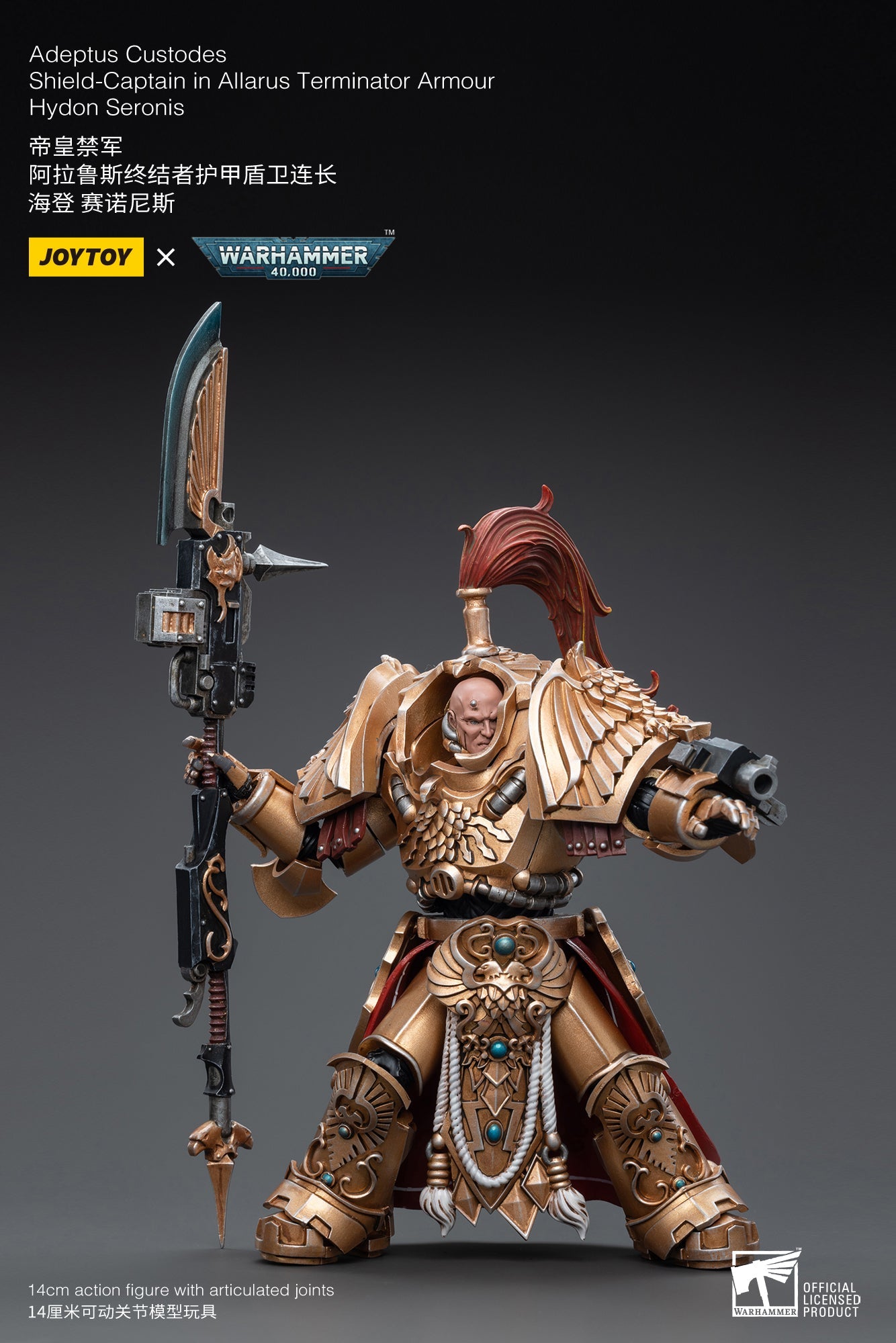 Warhammer 40K - Adeptus Custodes - Shield-Captain in Allarus Terminator Armour Hydon Seronis