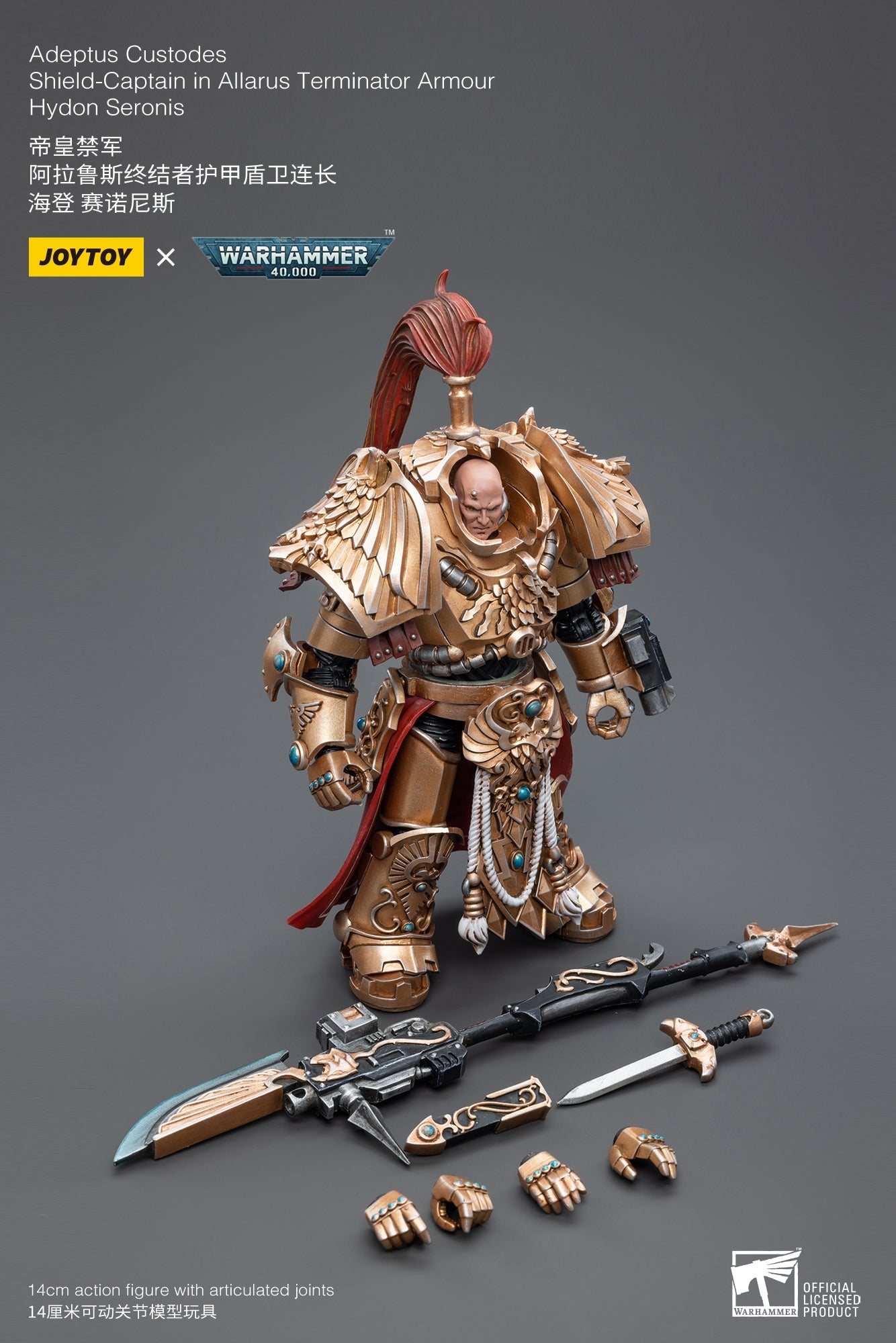 Warhammer 40K - Adeptus Custodes - Shield-Captain in Allarus Terminator Armour Hydon Seronis