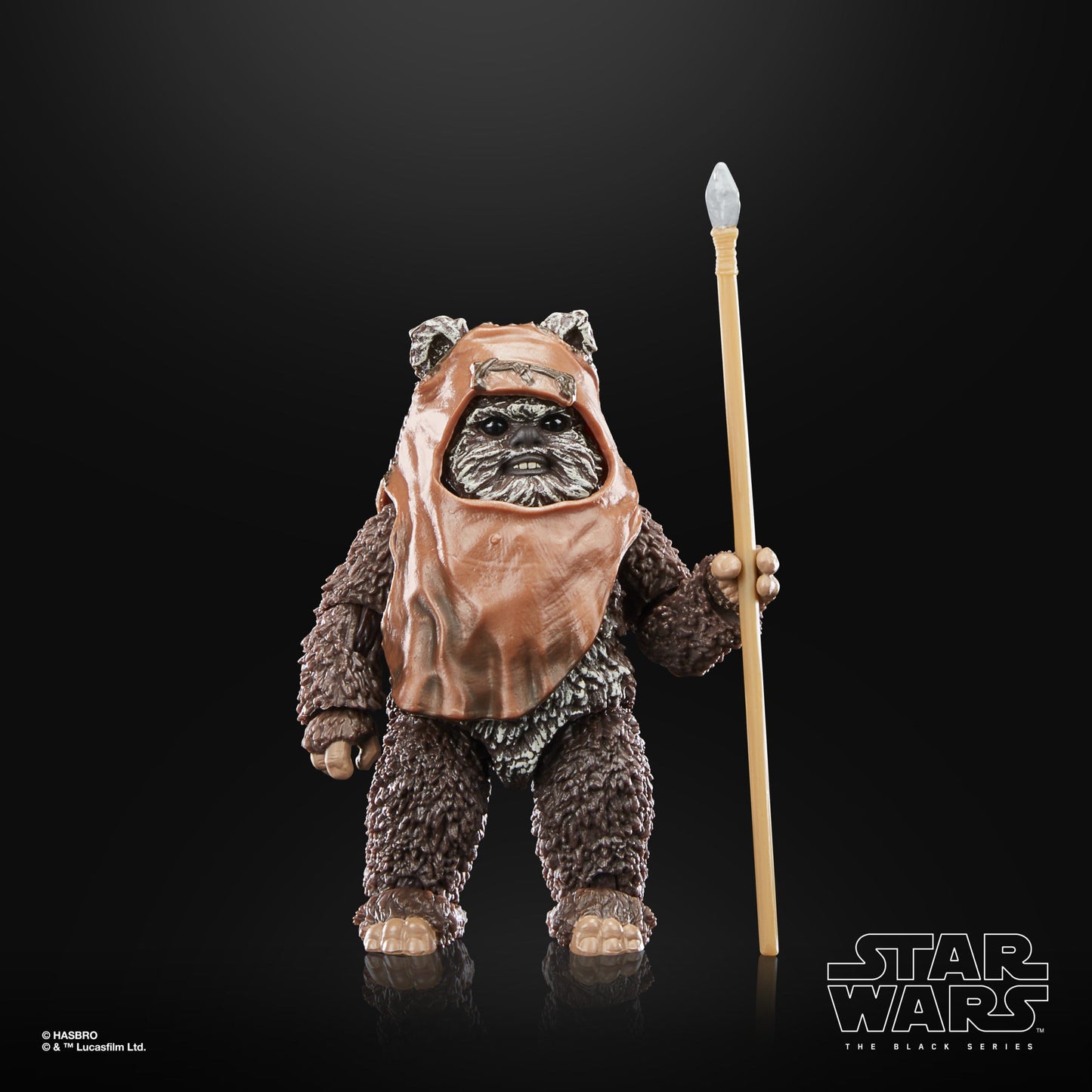 Star Wars The Black Series Wicket Action Figures