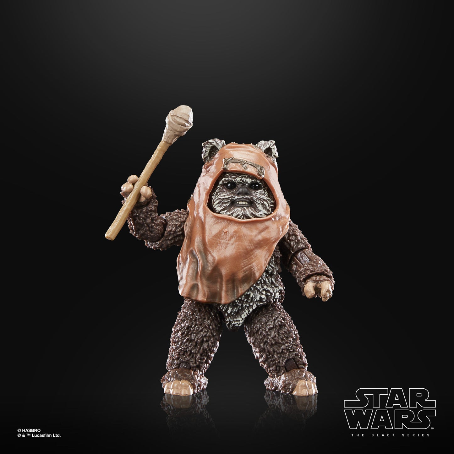 Star Wars The Black Series Wicket Action Figures