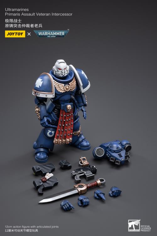 Warhammer 40K - Ultramarines - Veteran Intercessor