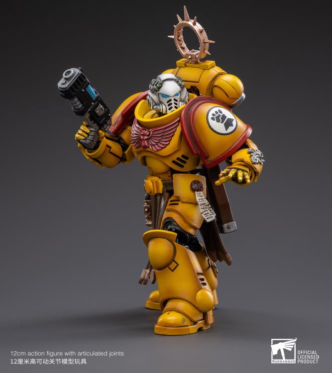 Warhammer 40K - Imperial Fists - Veteran Brother Thracius