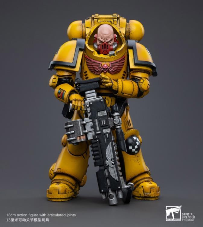 Warhammer 40K - Imperial Fists - Heavy Intercessor Rogfried Pertanal