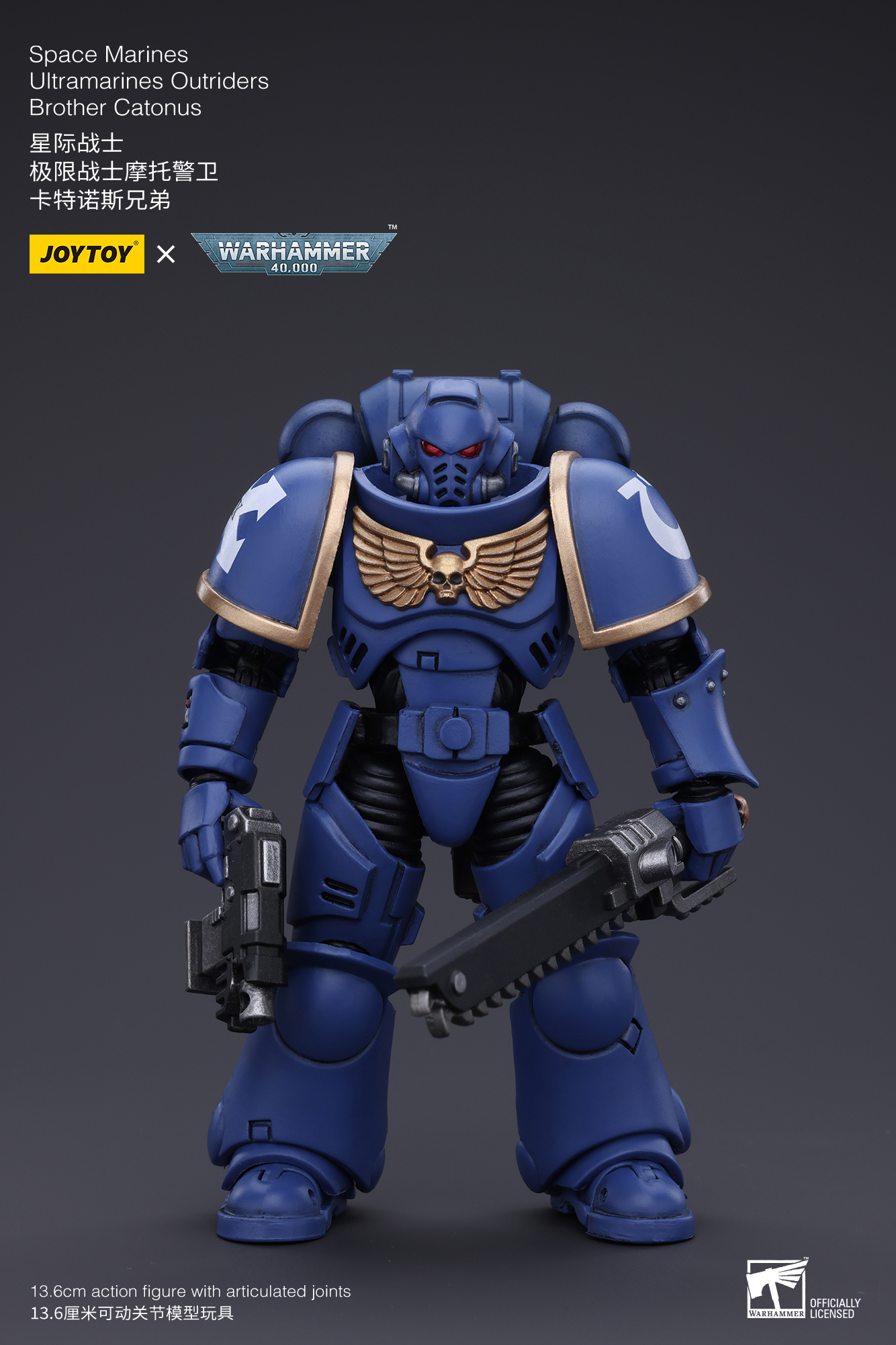 Warhammer 40k - Ultramarines - Intercessors Brother Catonus
