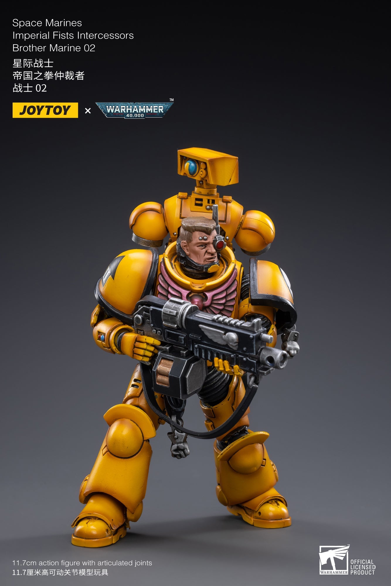 Warhammer 40K - Imperial Fists - Intercessor Marine