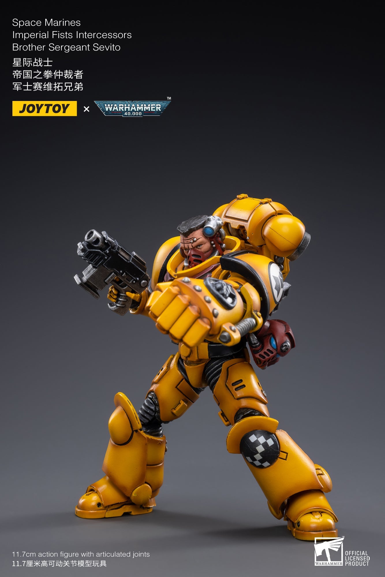Warhammer 40K - Imperial Fists - Intercessor Sergeant Sevito