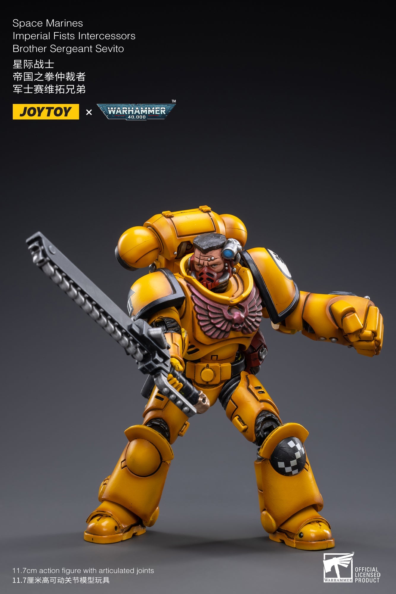 Warhammer 40K - Imperial Fists - Intercessor Sergeant Sevito