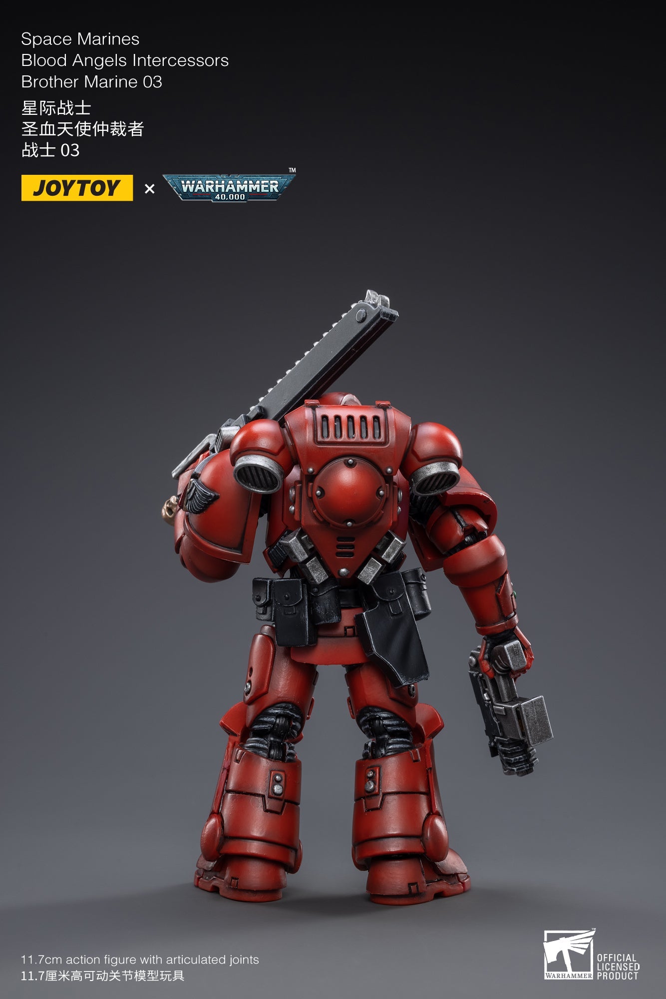 Warhammer 40K - Blood Angels - Intercessors Marine 03