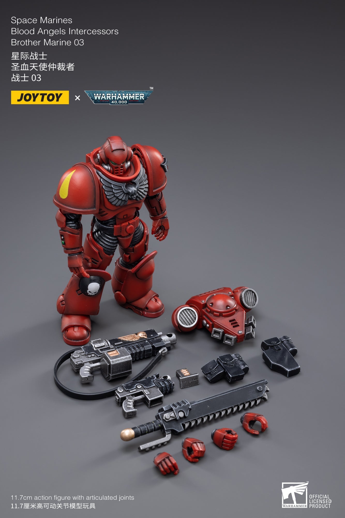 Warhammer 40K - Blood Angels - Intercessors Marine 03