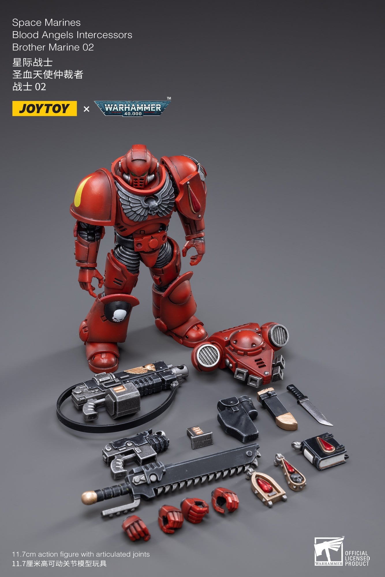 Warhammer 40K - Blood Angels - Intercessors Marine 02