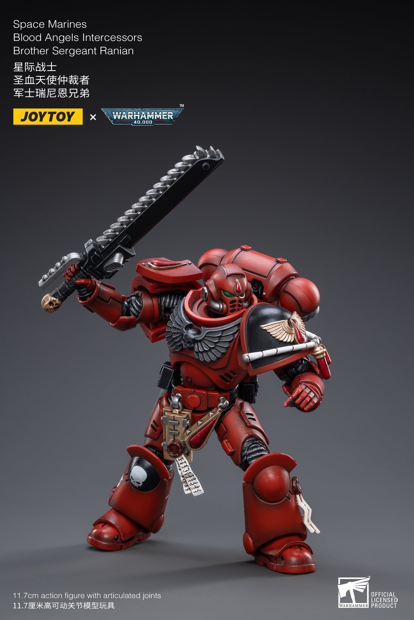 Warhammer 40K - Blood Angels - Intercessors Sergeant Ranian