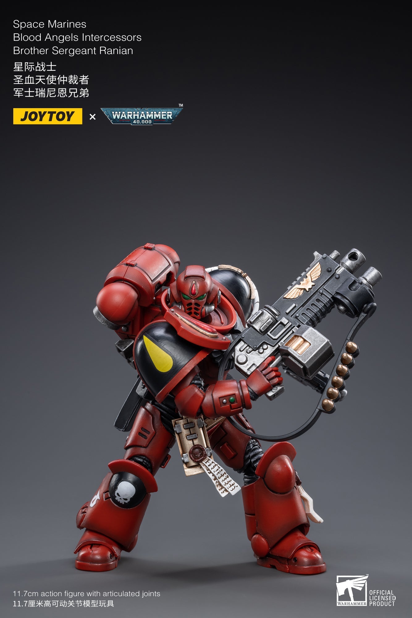 Warhammer 40K - Blood Angels - Intercessors Sergeant Ranian