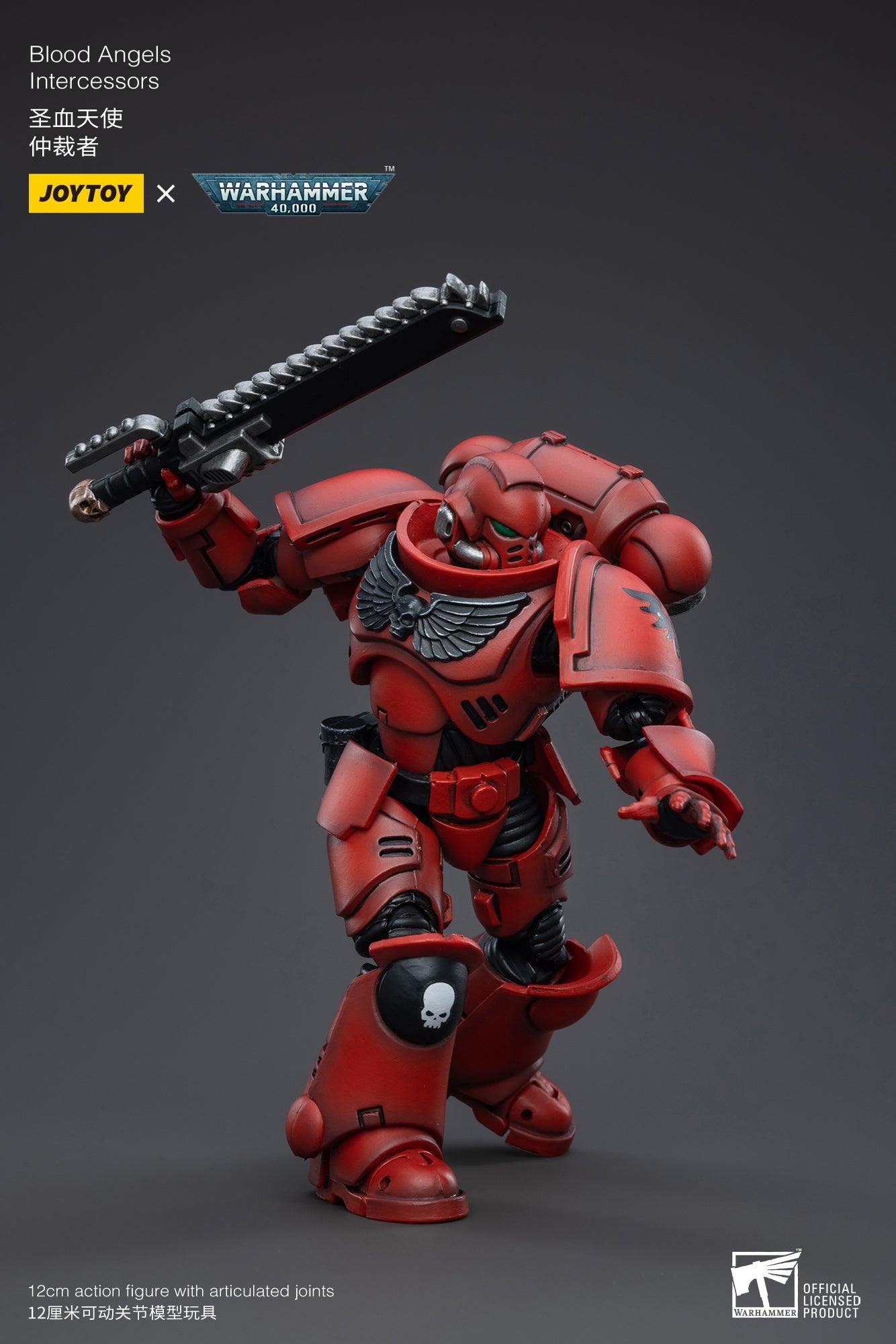 Warhammer 40K - Blood Angels - Intercessors