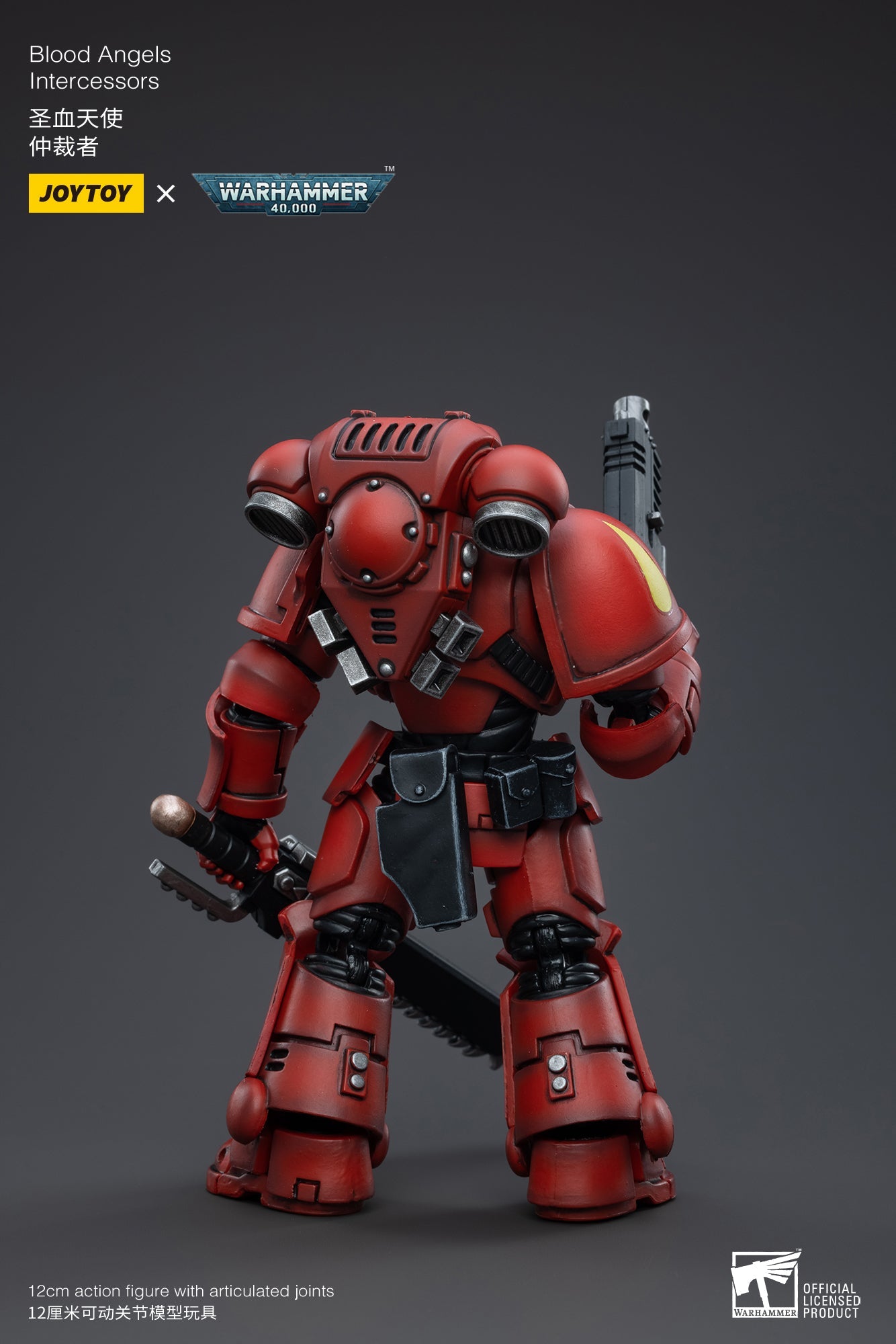Warhammer 40K - Blood Angels - Intercessors