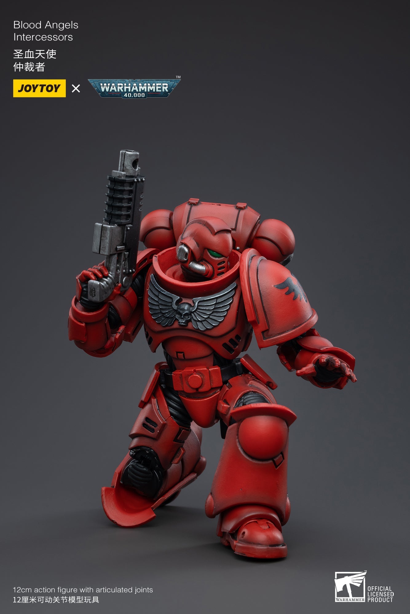 Warhammer 40K - Blood Angels - Intercessors