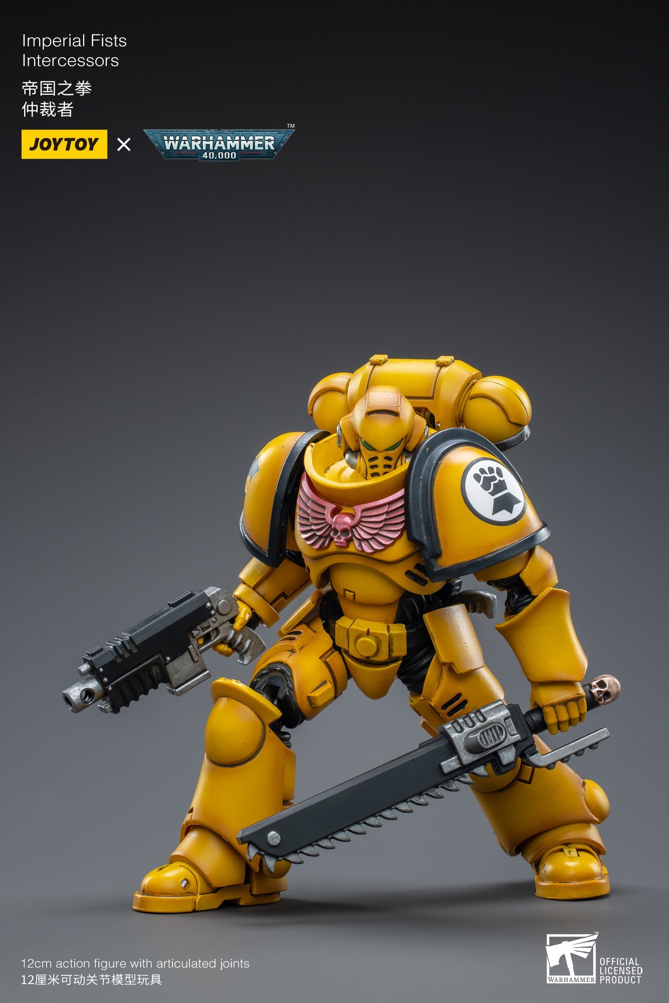 Warhammer 40K - Imperial Fists - Intercessors