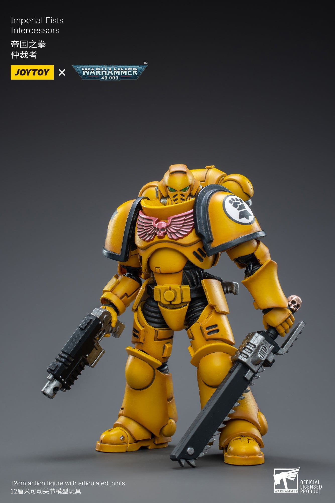 Warhammer 40K - Imperial Fists - Intercessors