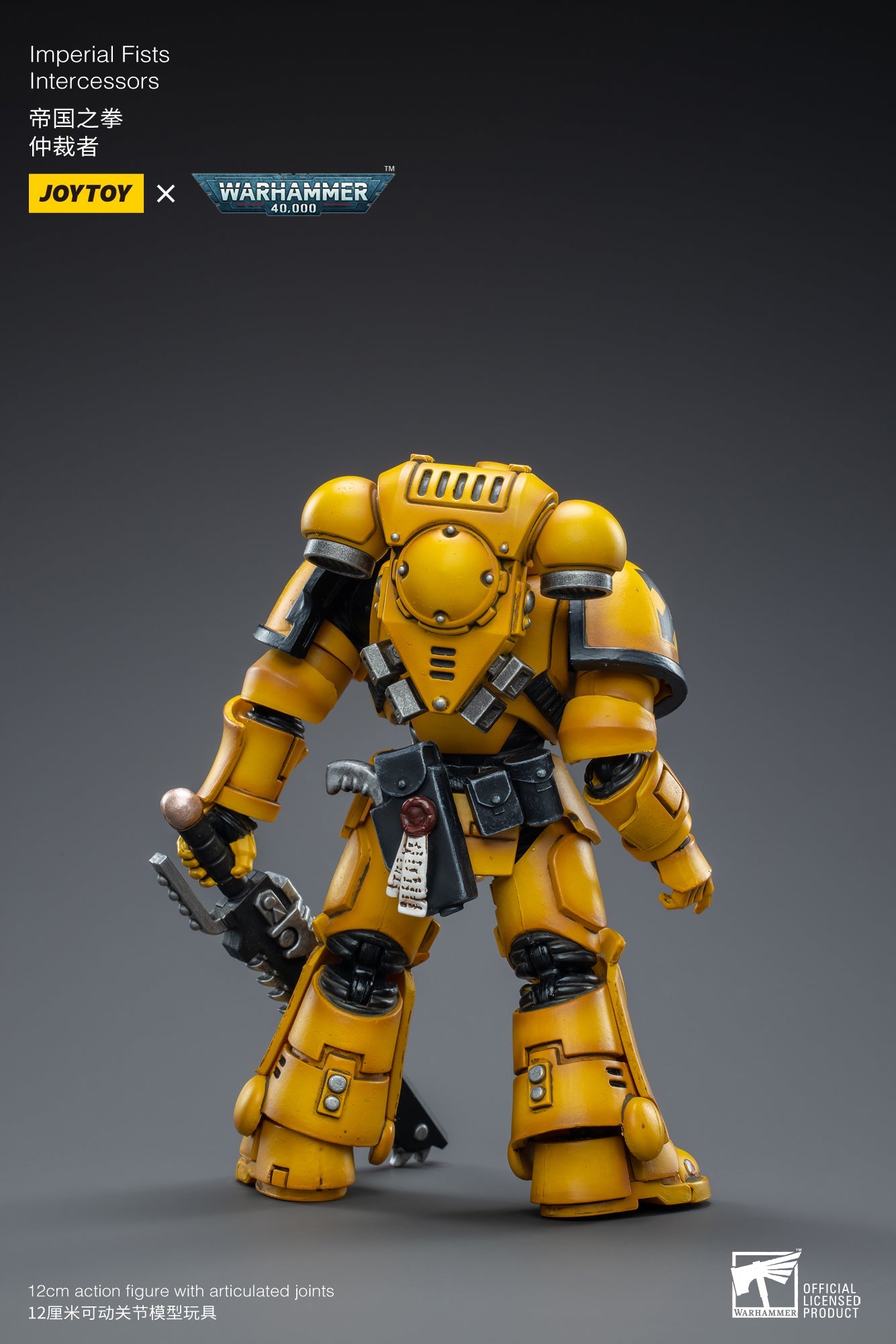 Warhammer 40K - Imperial Fists - Intercessors