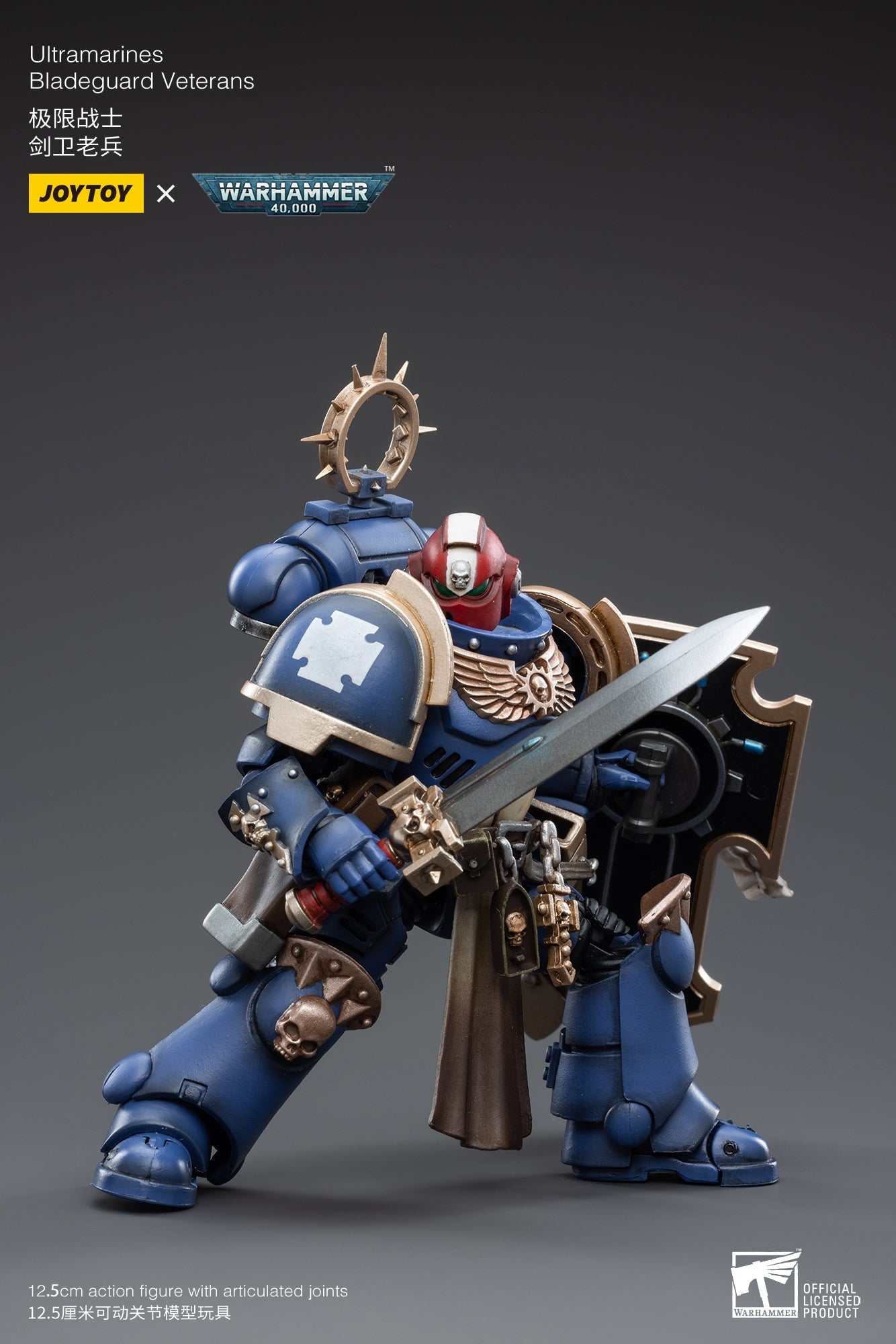 Warhammer 40K - Ultramarines - Bladeguard Veterans 04