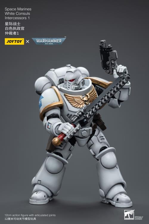 Warhammer 40k - Space Marines White Consuls -  Intercessors 1