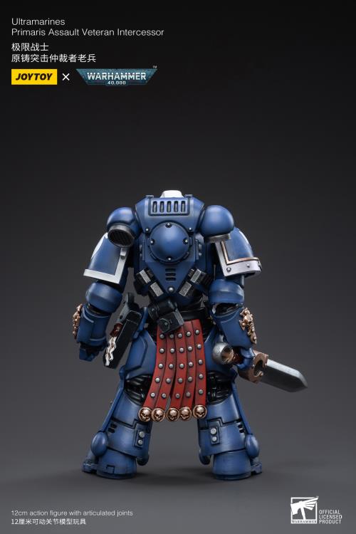 Warhammer 40K - Ultramarines - Veteran Intercessor