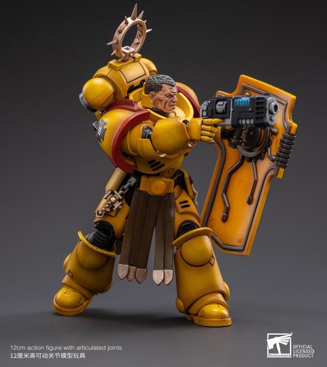 Warhammer 40K - Imperial Fists - Veteran Brother Thracius