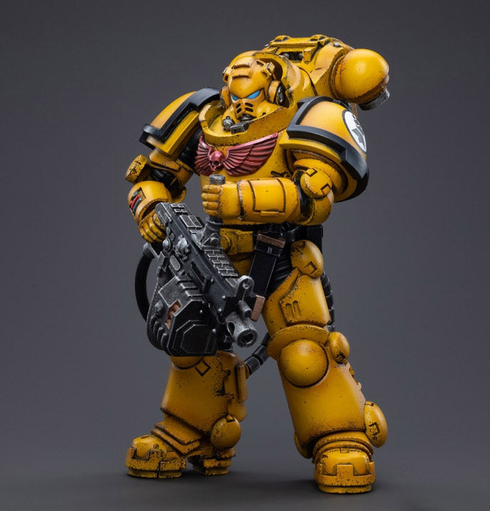 Warhammer 40K - Imperial Fists - Heavy Intercessor Polad Lycalrad