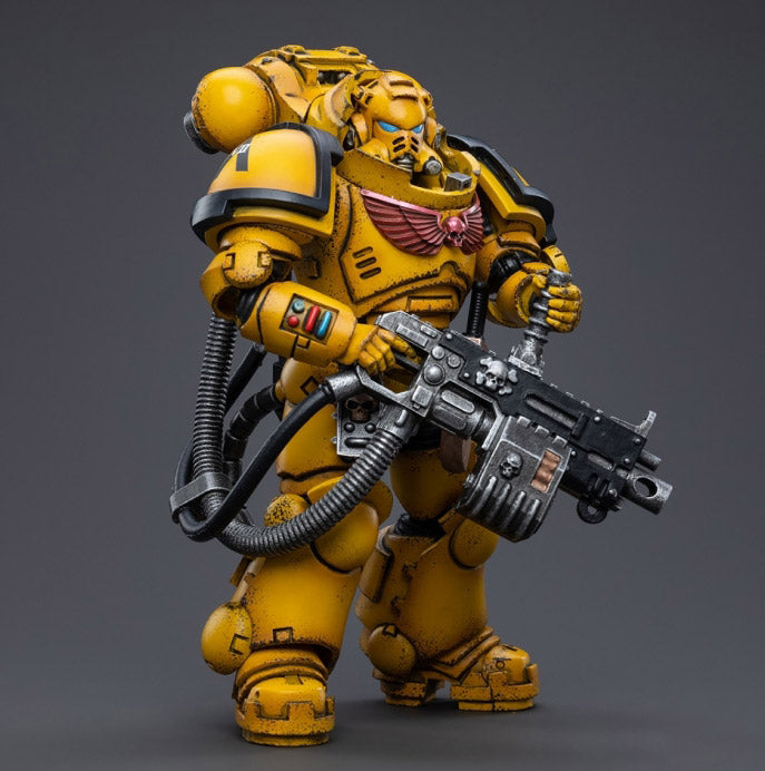 Warhammer 40K - Imperial Fists - Heavy Intercessor Polad Lycalrad