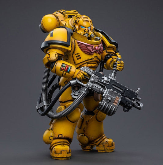 Warhammer 40K - Imperial Fists - Heavy Intercessor Polad Lycalrad